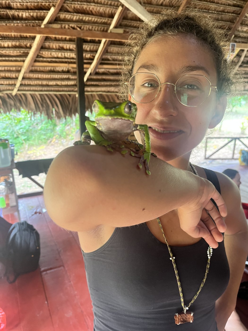Kambo practitioner holding a Phyllomedusa bicolor tree frog on their arm under a thatched roof, honoring the sacred Amazonian frog used in traditional Kambo medicine ceremonies.